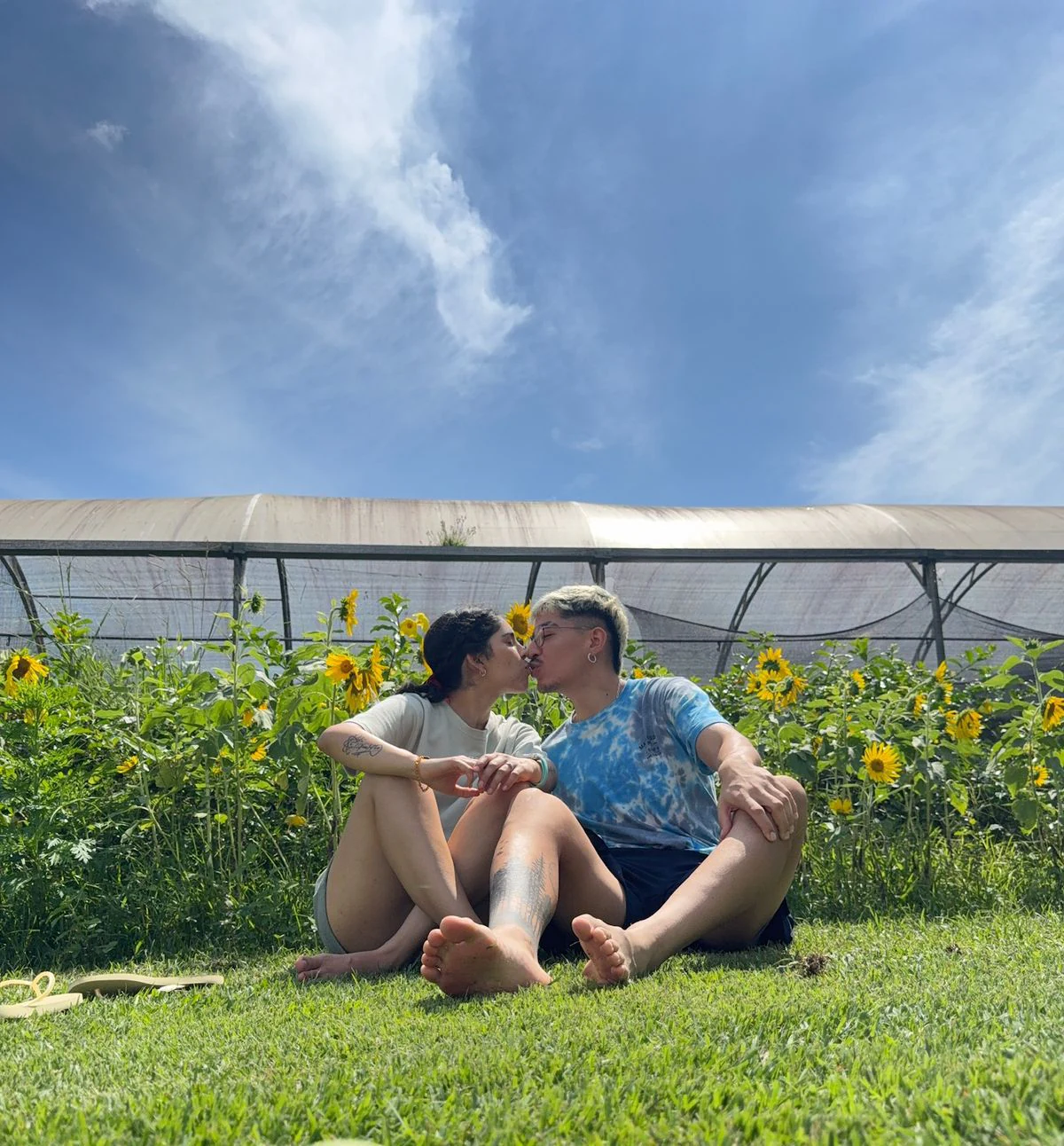 Maximiliano y Javiera besándose entre girasoles